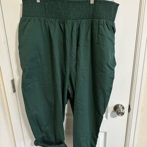 Lucy & Yak NWT green trousers